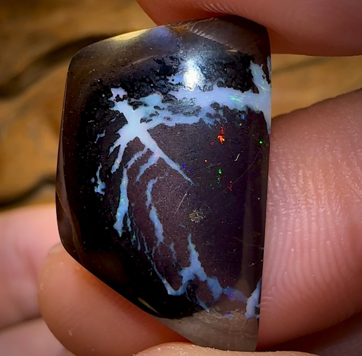 46.7cts - 5x Tribal Koroit Nut Opals BLACK IRONSTONE. Australian Opal Parcel - Opal Whisperers