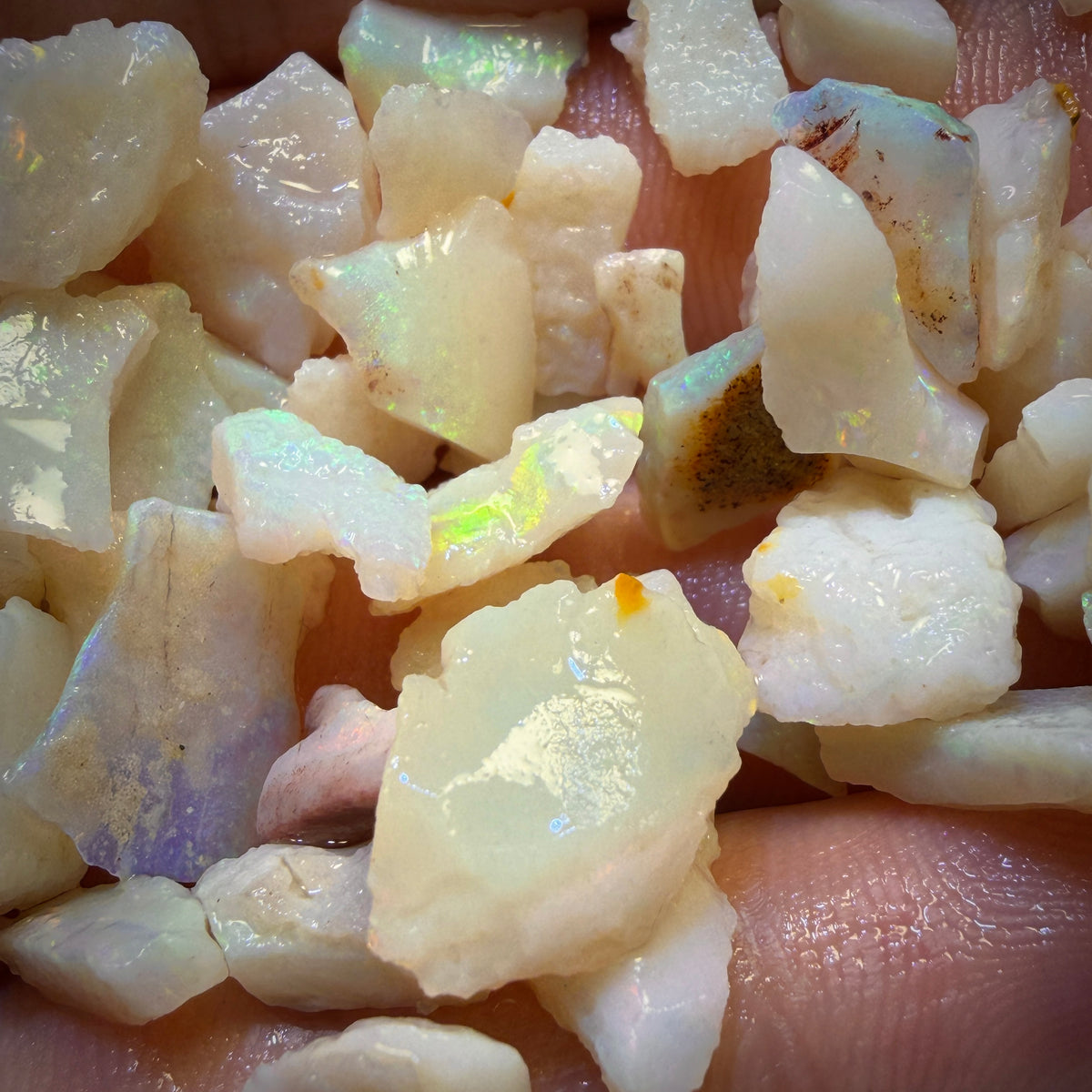 80.5cts - 56x South Australian White Opal Rough Chips Parcel