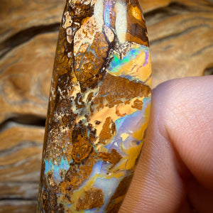 119.6cts - Wood Fossil Replacement Boulder Opal from Yowah