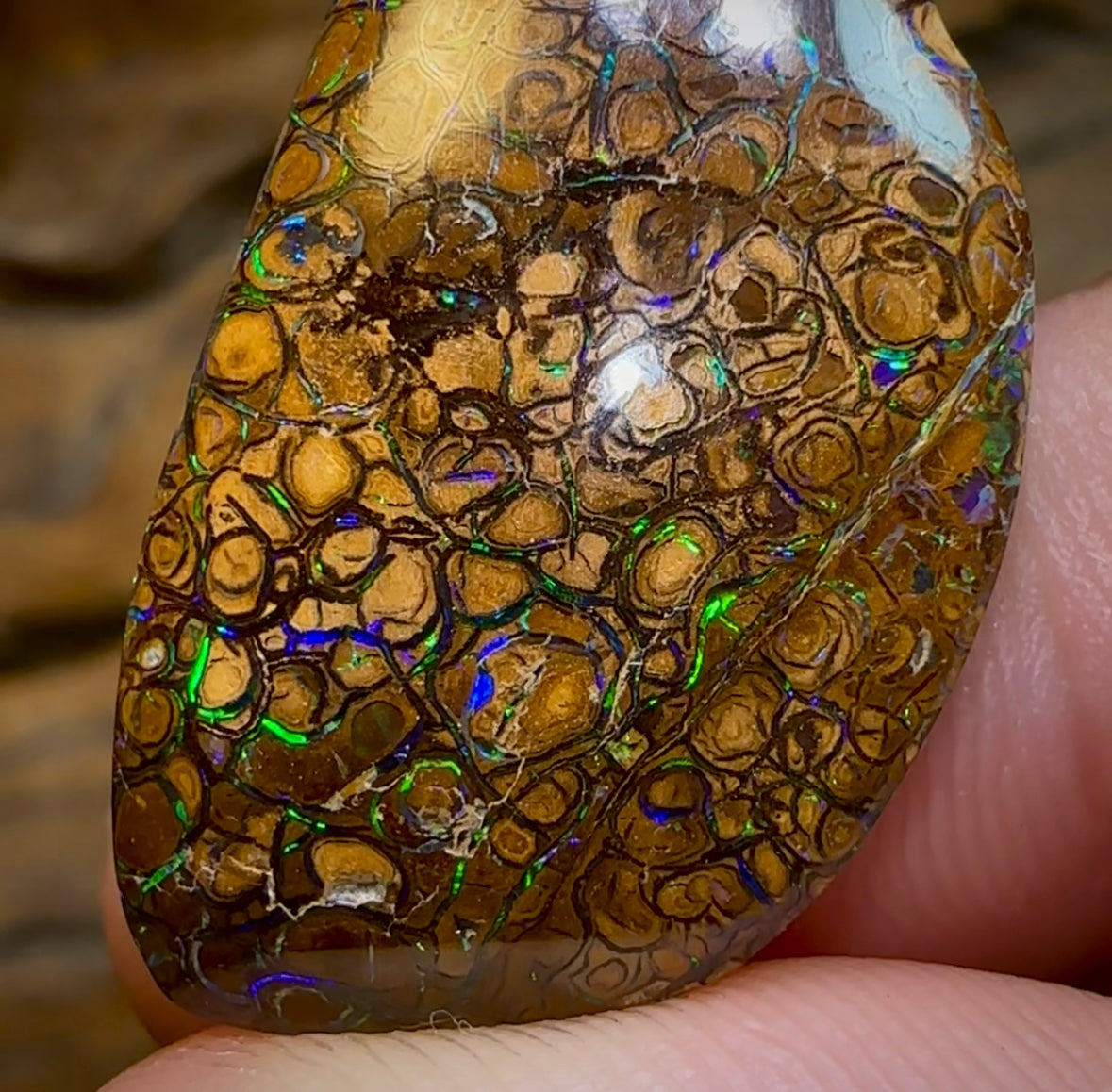 31.4cts - Australian Boulder Opal. Yowah Tribal - Opal Whisperers