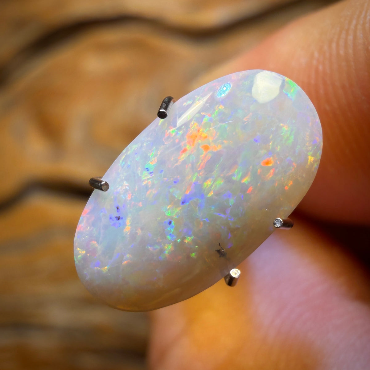 🔨 AUCTION 🔨 1.75cts - Rare Mintabie Australian Dark Opal
