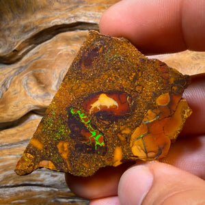 TGIF 154.4cts - TOP CUTTER Yowah Nut Conglomerate Opal Rough Piece