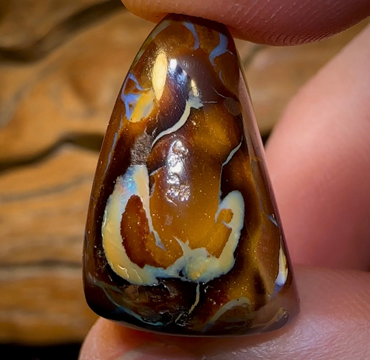 37.2cts - “ Coffee Kernel Frog ” Yowah Nut Polished Specimen Picture Stone