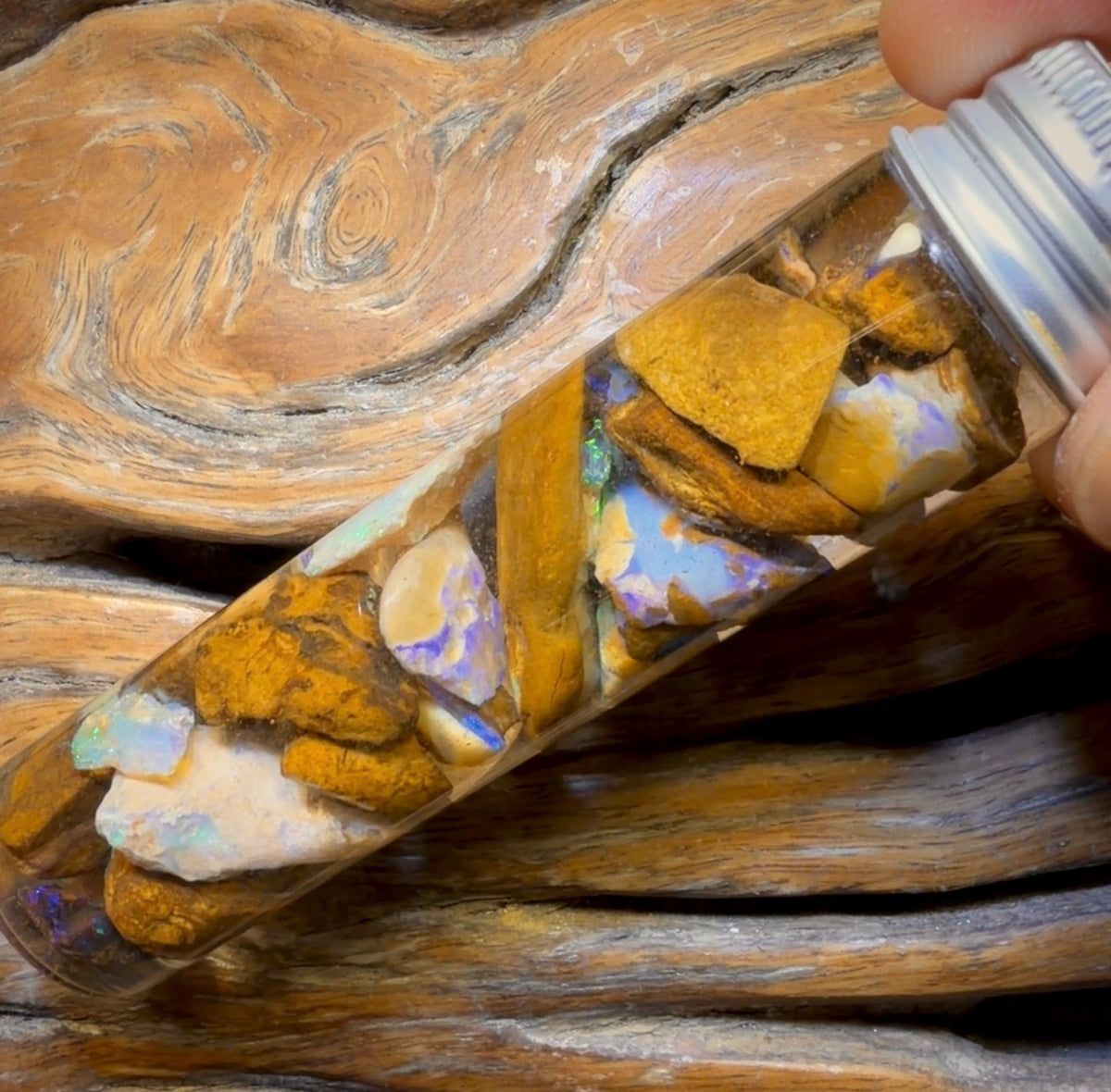 122,3 ct – Phiole mit Yowah-Nussopal-Rohstein und fossilem Opal