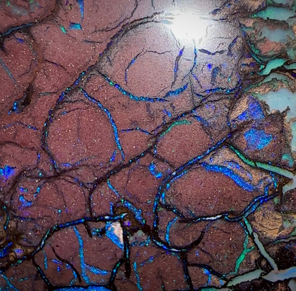 87.1cts - Australian Boulder Opal. Top Tribal - Opal Whisperers