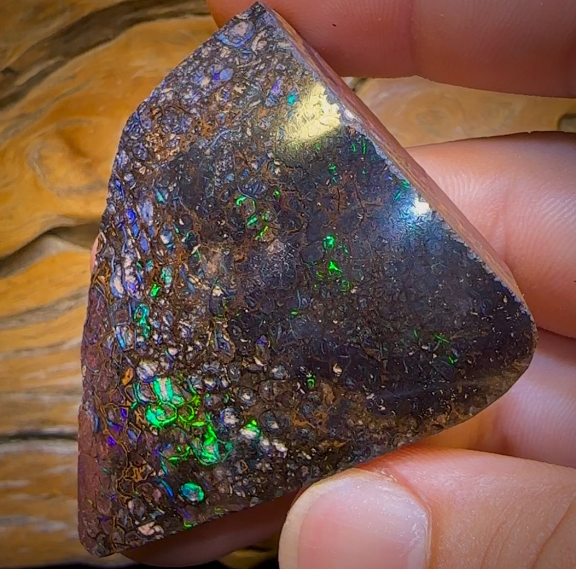 357.5cts - Electric Tribal Queensland Black Boulder Opal. Polished Specimen