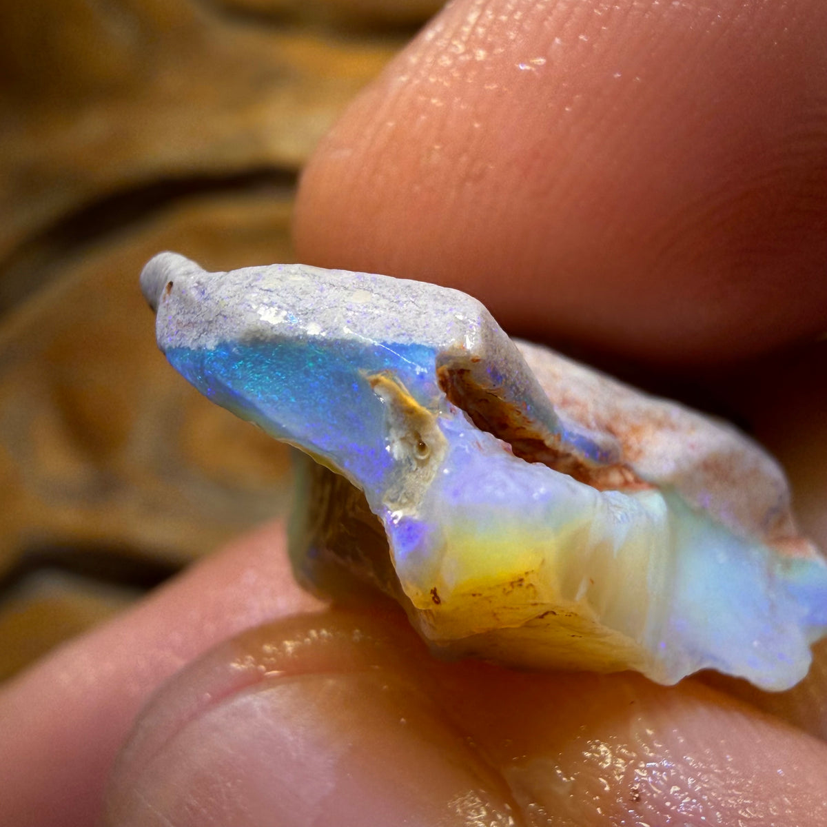 21.1cts - Lightning Ridge Dark Opal Rough Piece