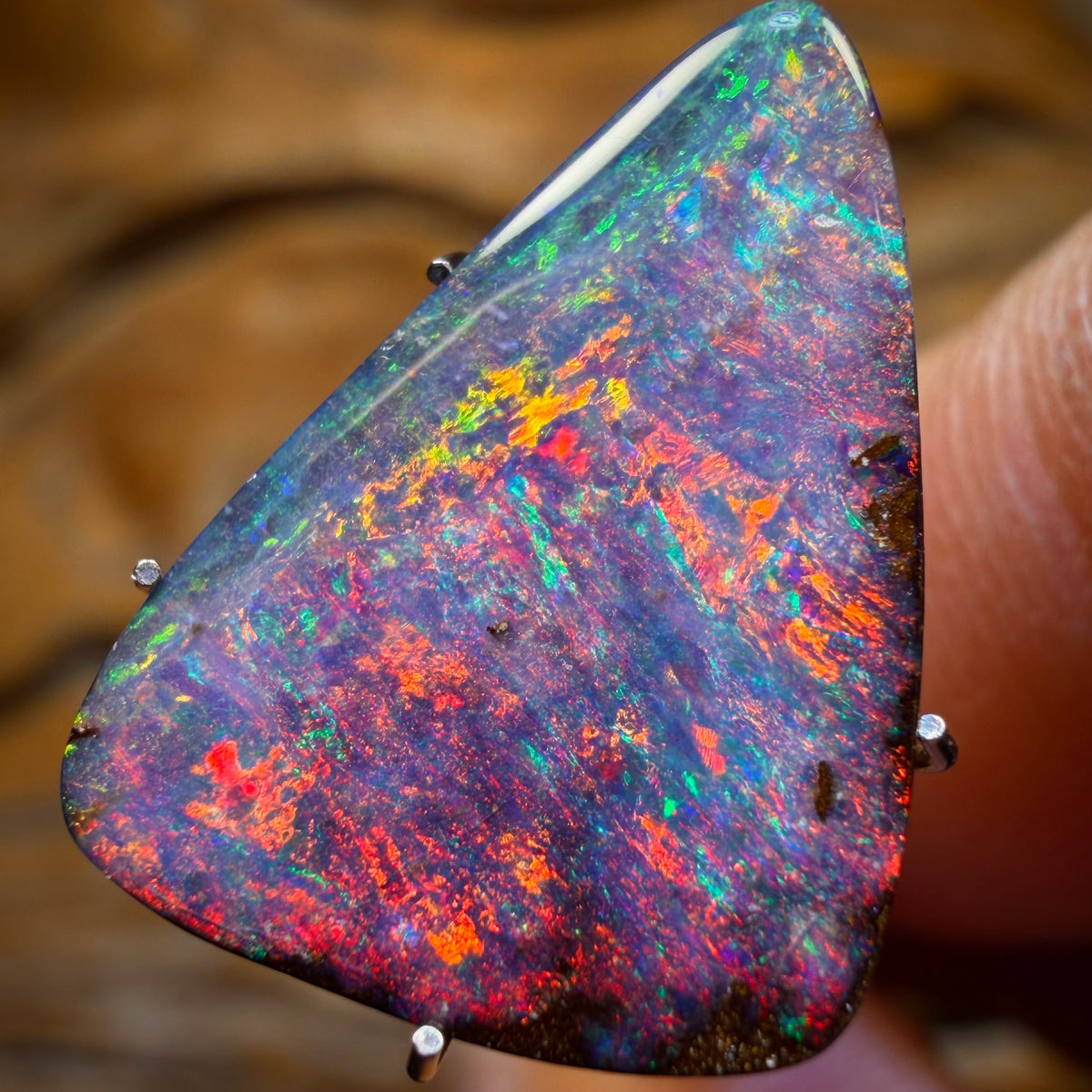 7.1cts - Fire Red GEM Solid Queensland Boulder Australian Opal Heritage Collection Investment
