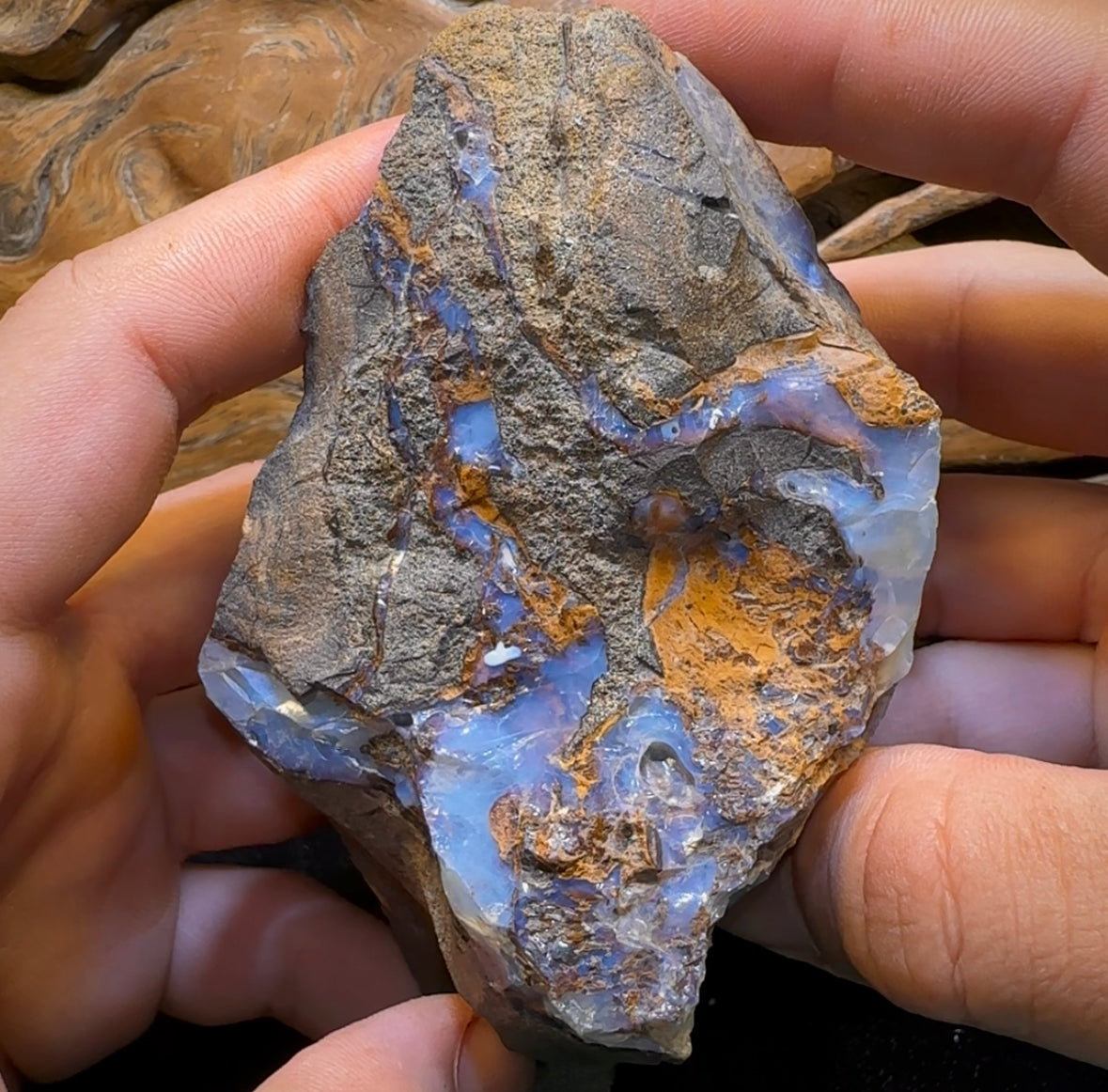 356.3g - Queensland Boulder Seam Opal Rough Specimen - Opal Whisperers
