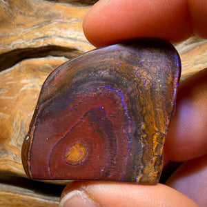 144.4cts - “The Mountain” Top Australian Boulder Opal Polished Specimen from Yowah