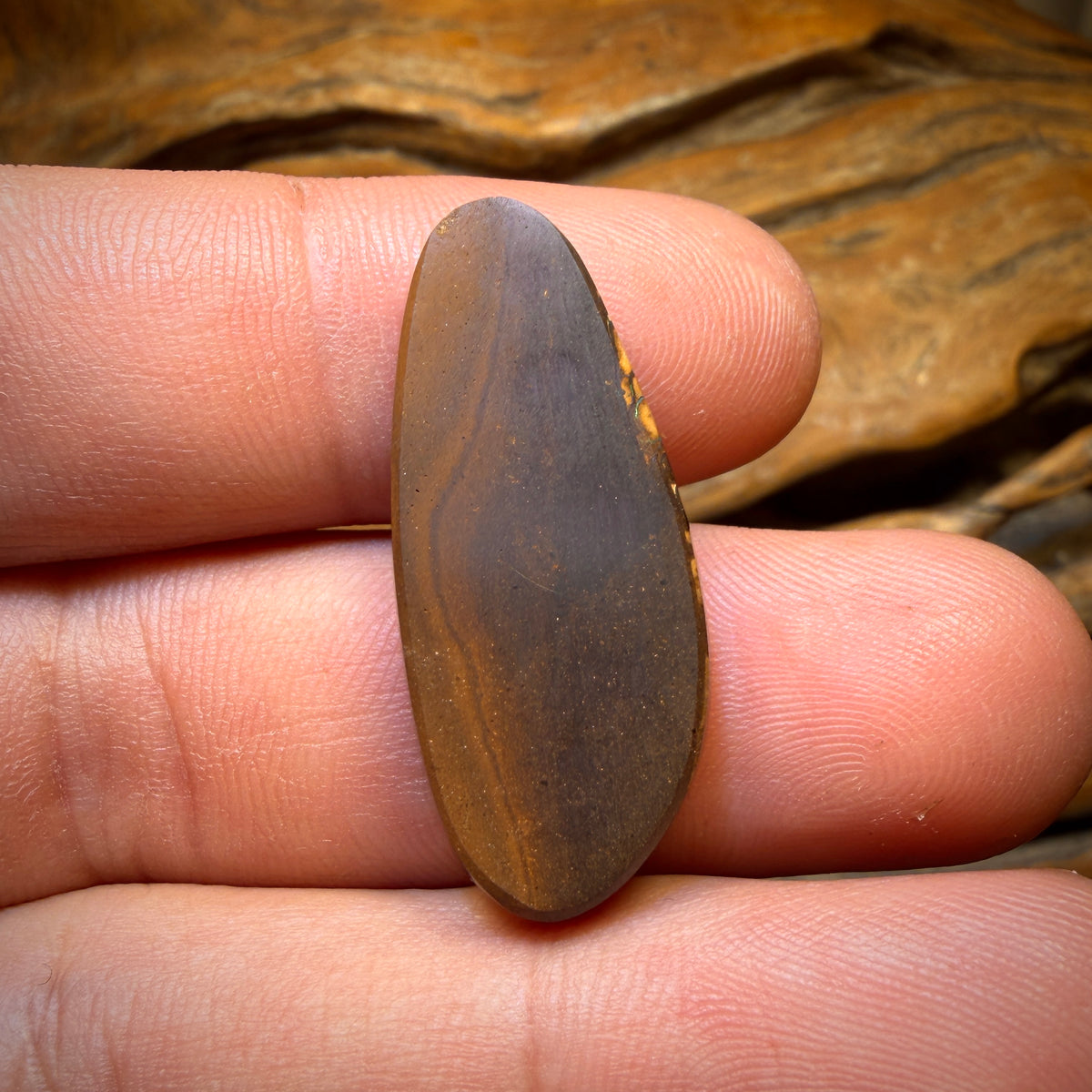 24.9cts - Tan Tribal Yowah Nut Opal. Australian Opal