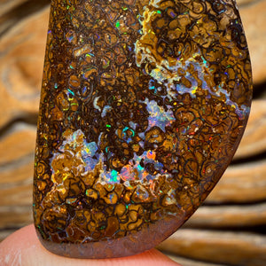 92.1cts - Tan Tribal Yowah Nut Opal. Red Multicolour