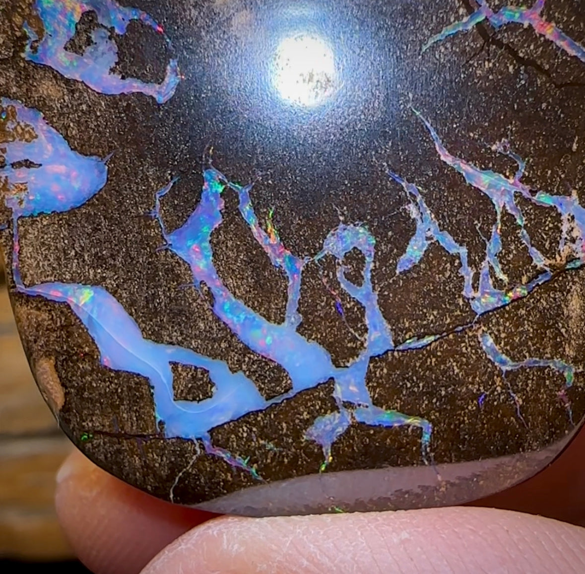 78cts - “Brolga Dance” Amazing Queensland Boulder Seam Opal Picture Stone