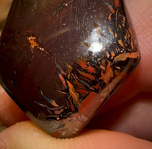 44,3 carats - Opale Boulder tribale du Queensland de Koroit