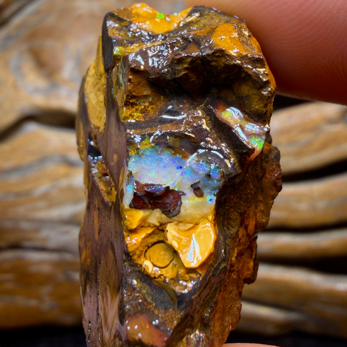 TGIF 482.9cts - 5x Yowah Nut Opal Rough Parcel. Australian Boulder Opal