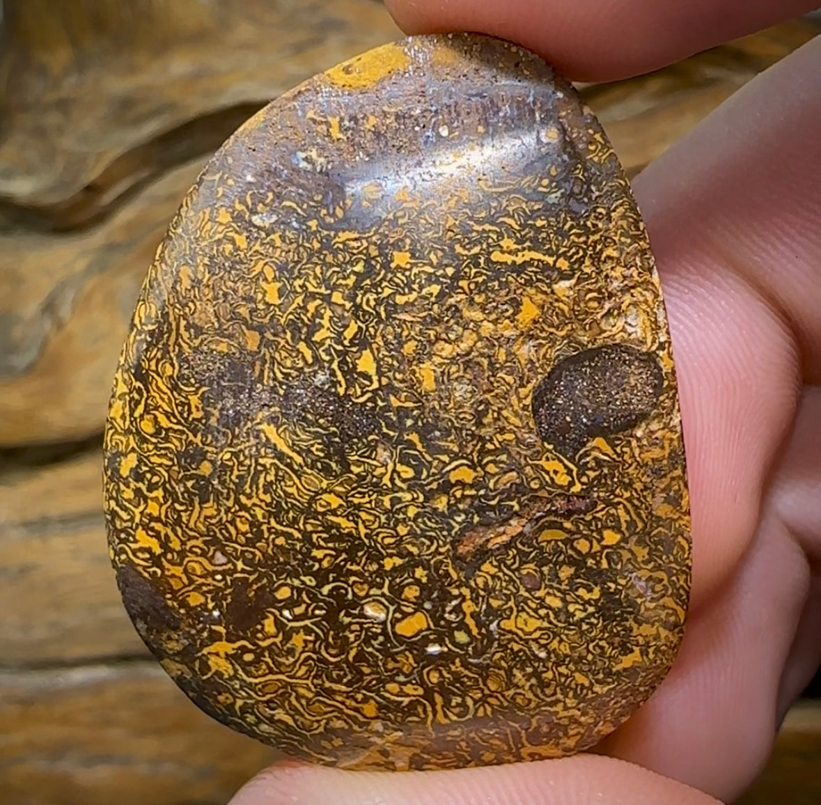 128.7cts - Yowah Nut Opal. Tribal Framed Crystal Centre Amazing Pattern - Opal Whisperers