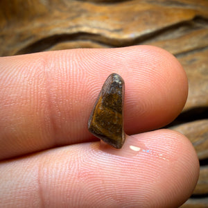 🔨 AUCTION 🔨 1.9cts - Queensland Boulder Seam Opal Rub Red Fire