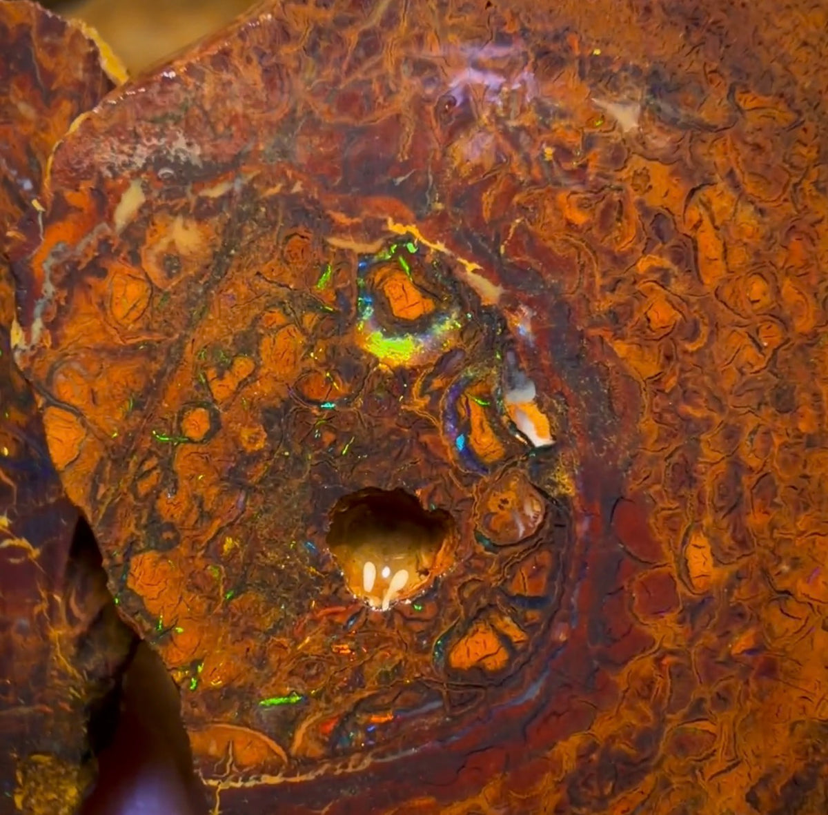 Wildcard! 169.2cts - Tribal Yowah Nut Opal Rough Pair. Australian Opal