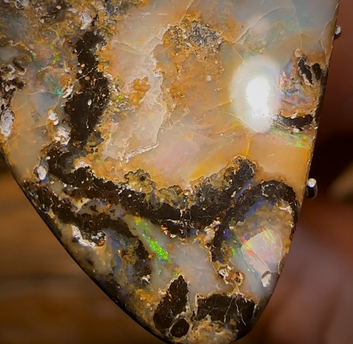 Auction Fall-Through = Your Gain! 🔥 Now More Than 50% Off RRP 🚨 19.3cts - Queensland Boulder Seam Opal BARGAIN