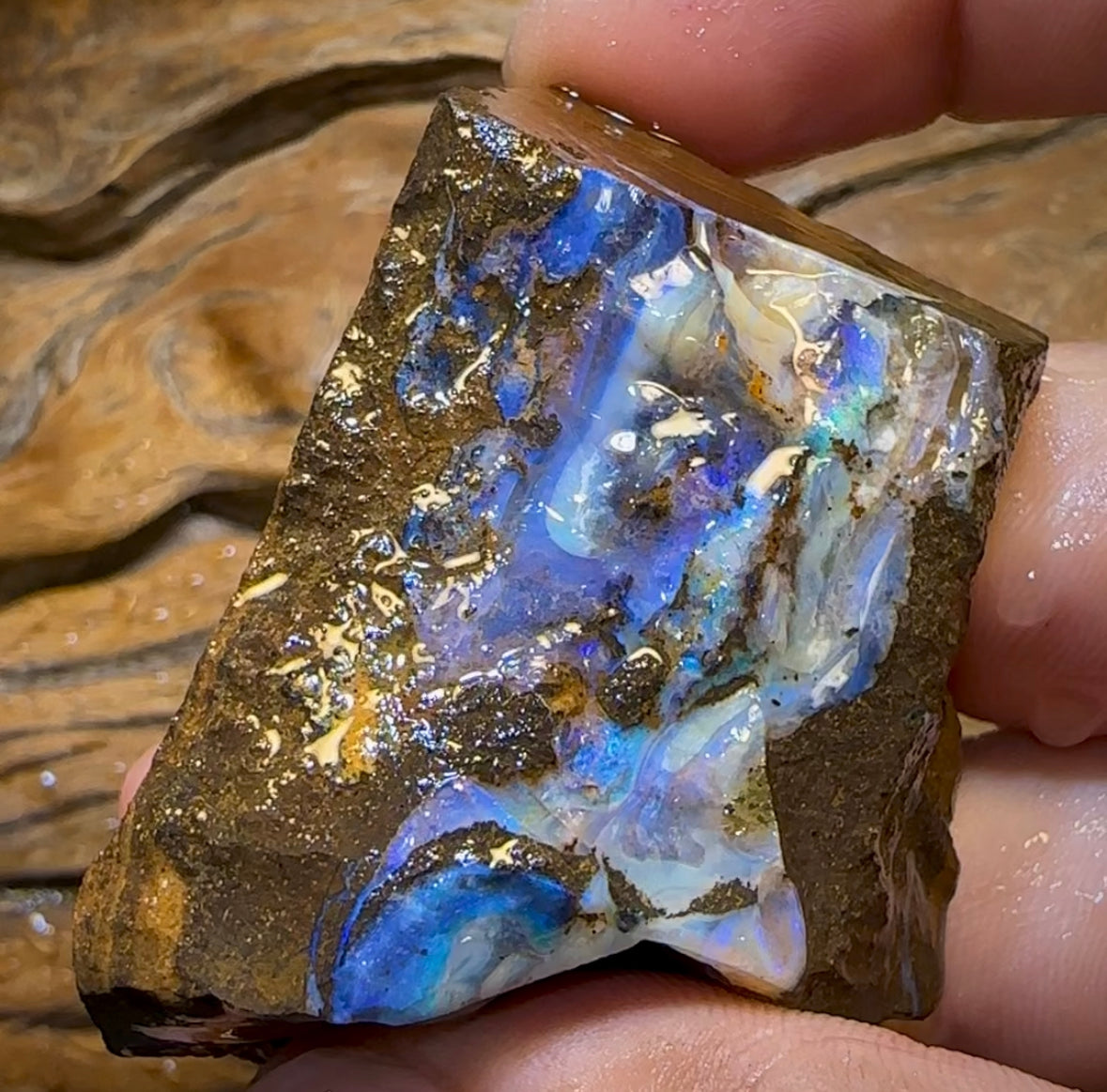 383.5cts - Australian Boulder Opal Rough Preform. Natural Split - Opal Whisperers