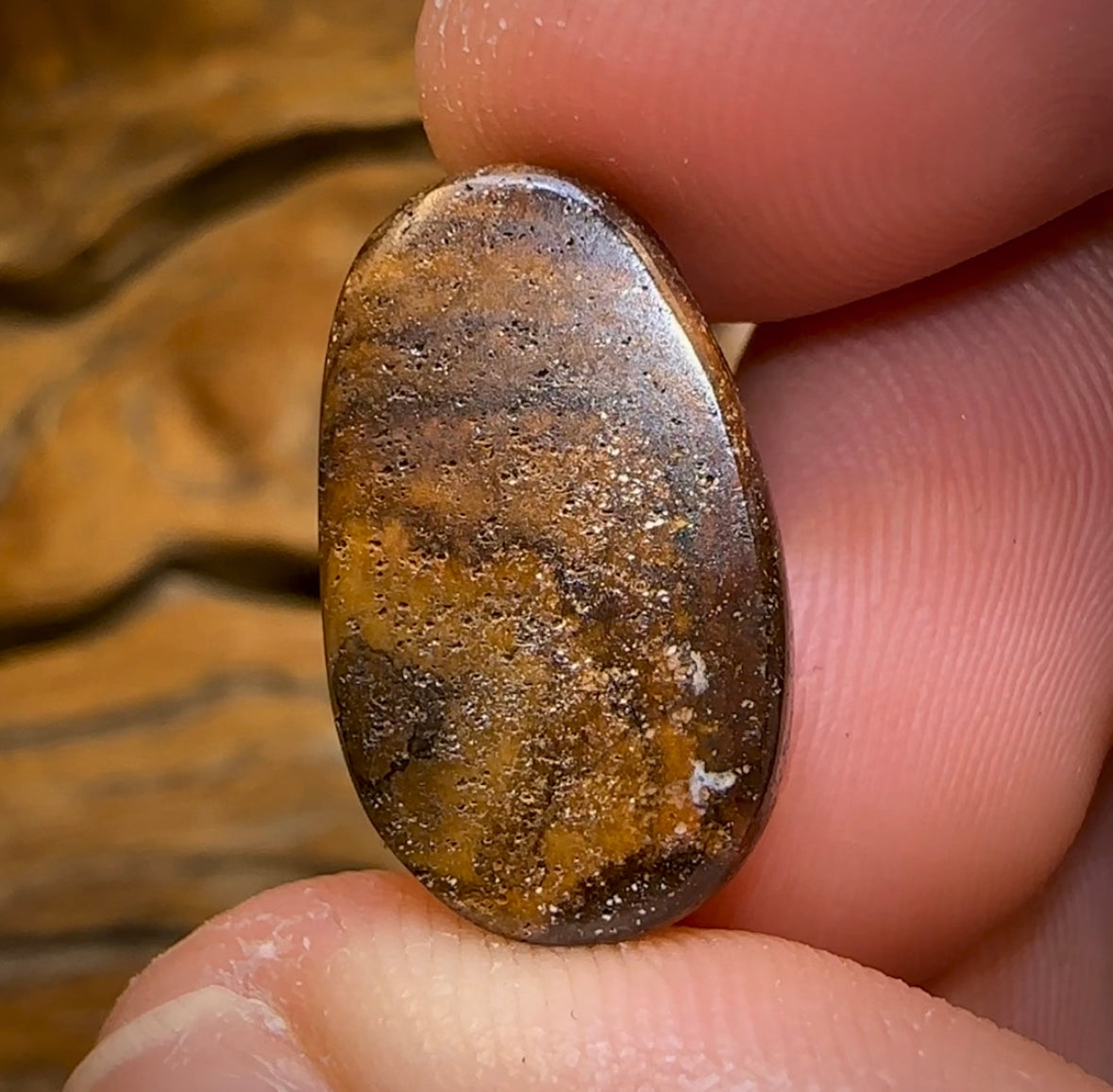 13.4cts - TOP Queensland Black Boulder Seam Opal. GEM QUALITY - Opal Whisperers