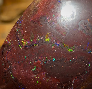 36.3cts - Queensland Boulder Opal from Koroit - Opal Whisperers