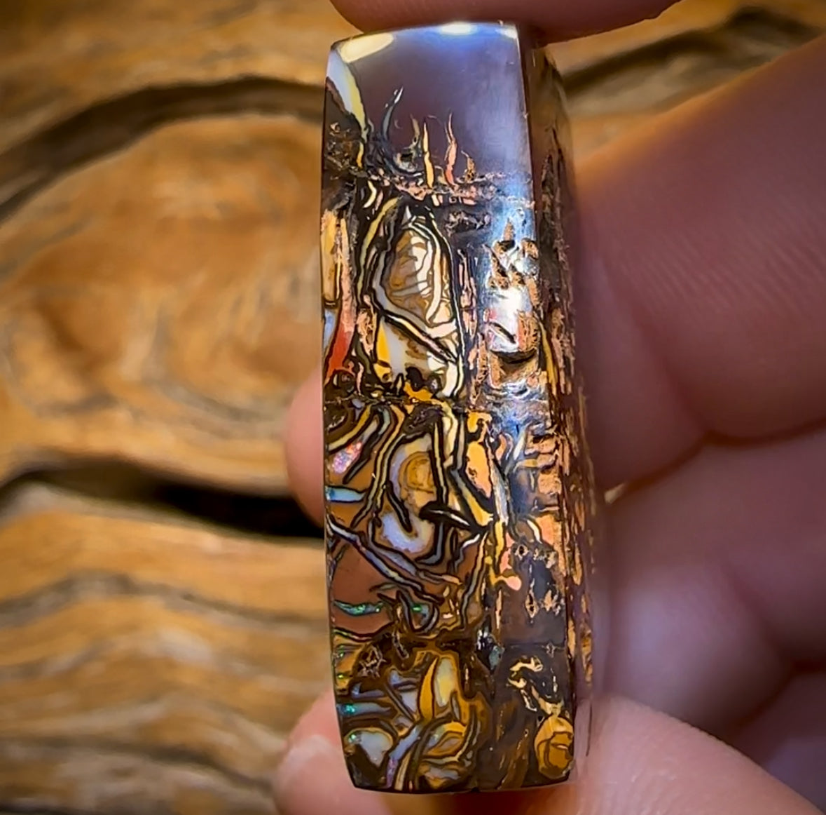 120.5cts - Top Tribal Queensland Boulder Opal. Huge Thick Rare Specimen