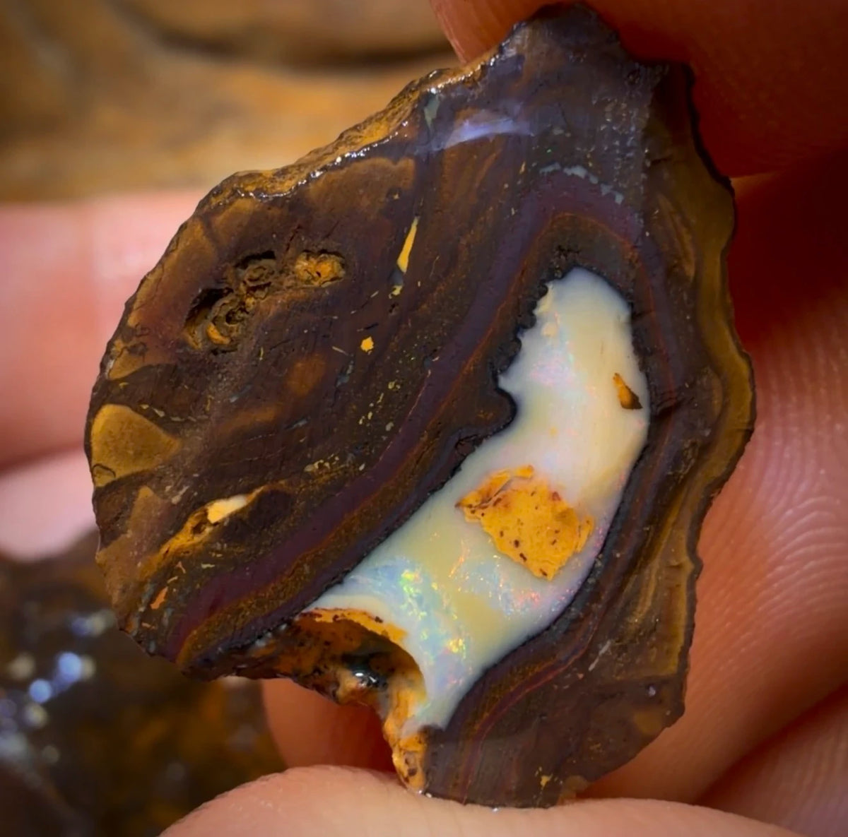 🔒152.7cts - 4x Yowah Nut Partial Crystal Centre Rough Specimen Parcel