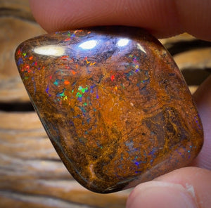 46.2cts - Queensland Boulder Opal. Bubbleband Formation With Red
