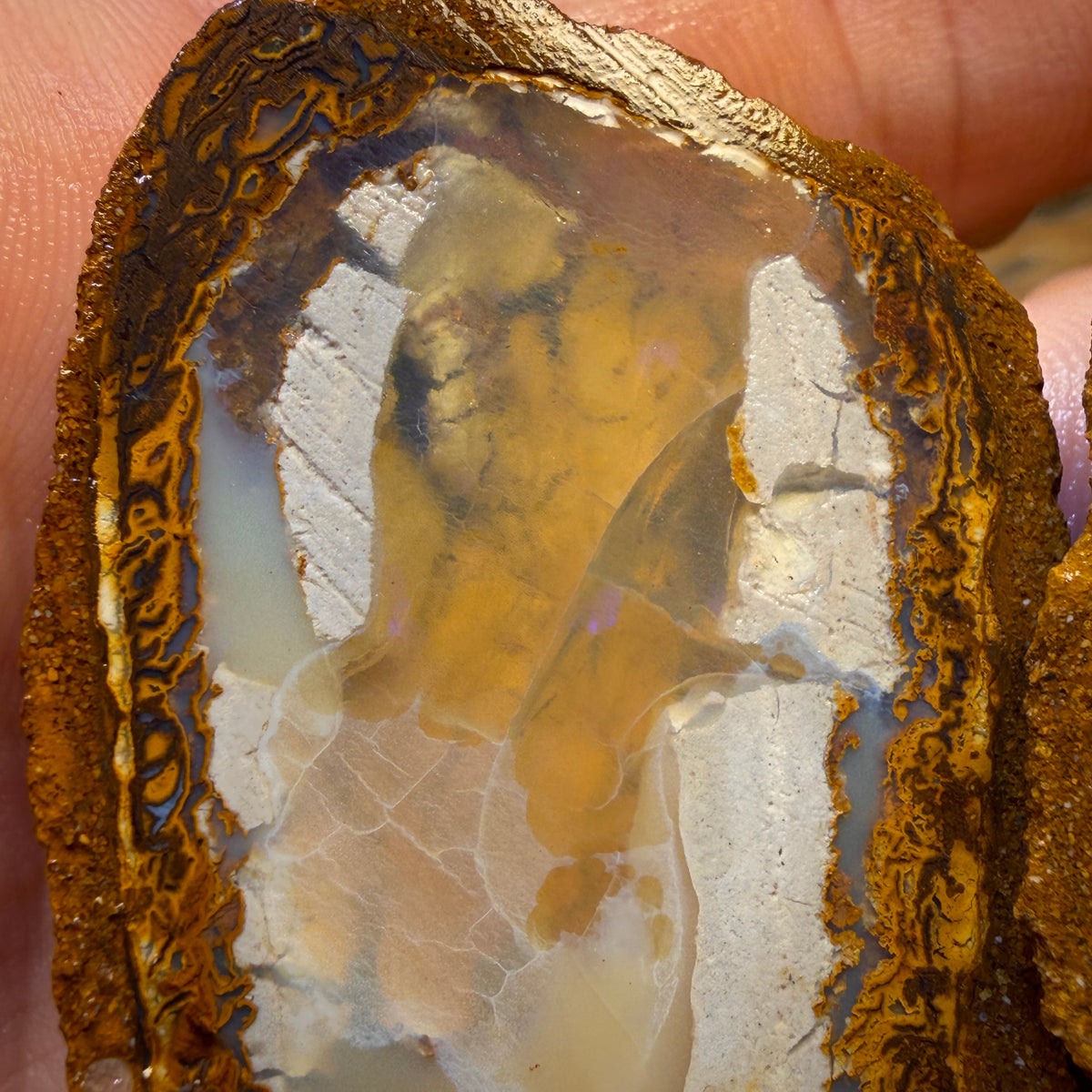 Aren’t you Glad you waited till the End Card! 254.8cts - RARE Yowah Nut Partial Crystal Centre Rough Specimen Pair