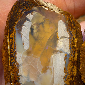 Aren’t you Glad you waited till the End Card! 254.8cts - RARE Yowah Nut Partial Crystal Centre Rough Specimen Pair