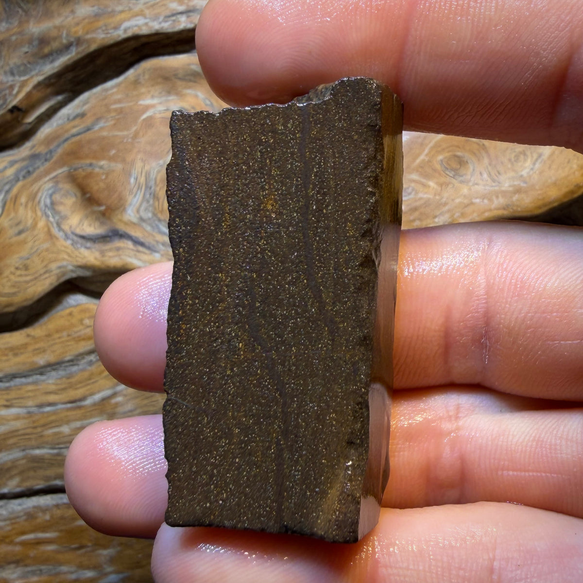 207cts - Top Queensland Boulder Seam Opal Rough Piece. Natural Split