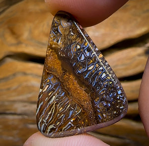 22.6cts - “Deep Forrest’s Fears” Tribal Queensland Boulder Opal Picture Stone