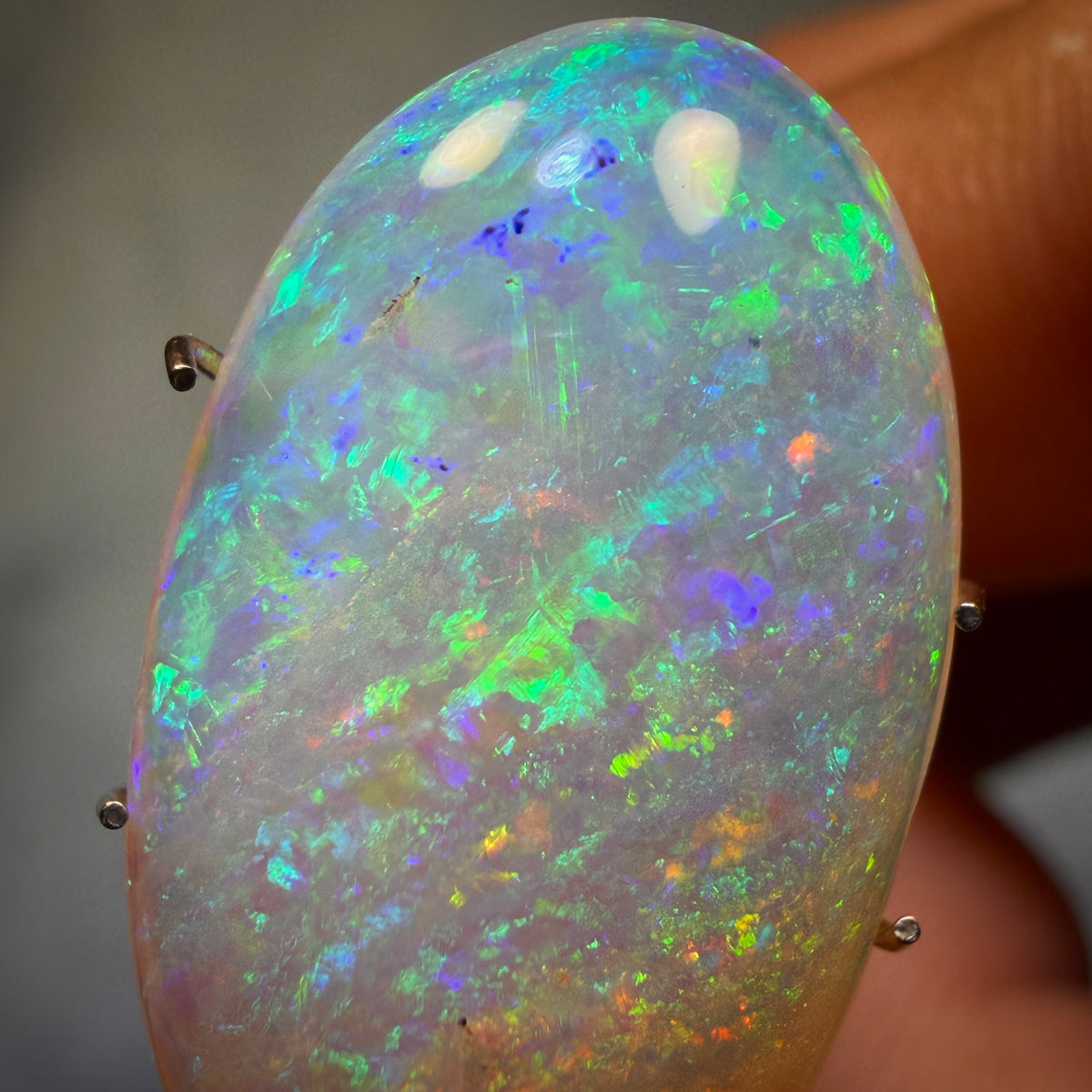 8.7cts - Gem Australian Boulder Crystal Opal. Featured on “Outback Opal Hunters”!