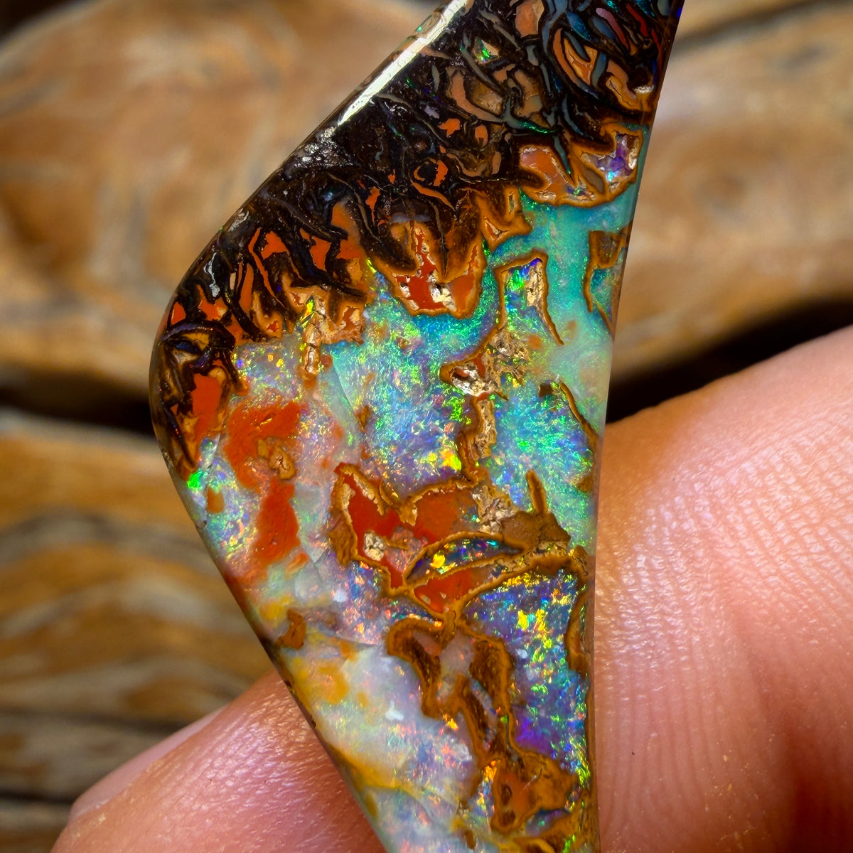 19.8cts - Top Tribal Queensland Boulder Opal from Yowah. Double Sided