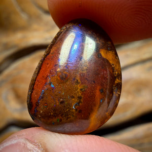 15.1cts - Yowah Nut Kernel Opal. Australian Boulder Opal