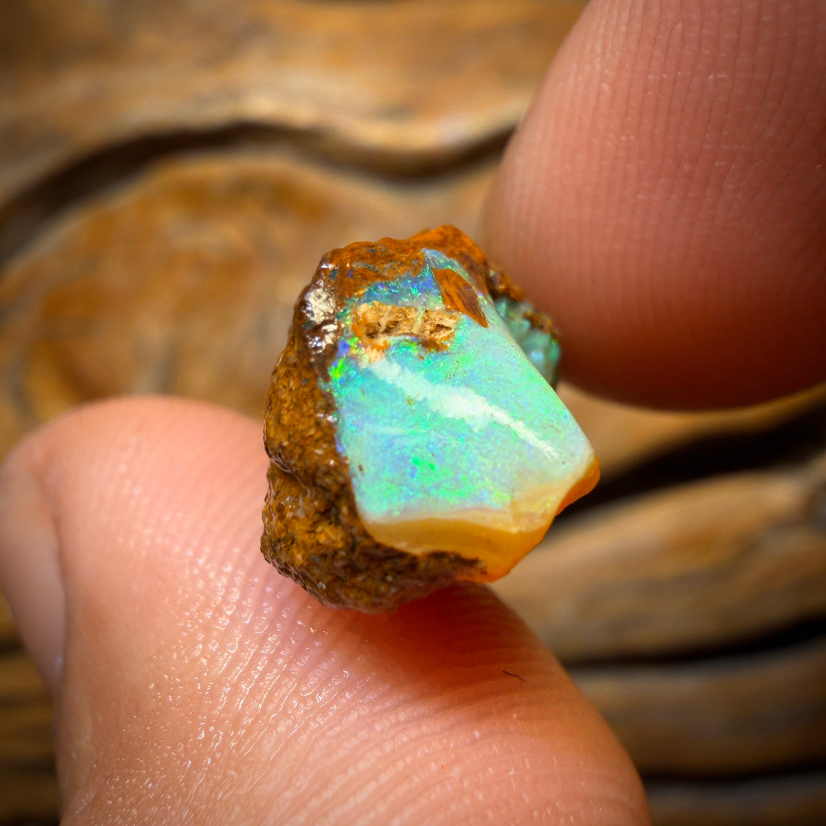 17.2cts - Boulder Pipe Opal Rough Piece. Australian Opal