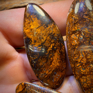 🔒217.7cts - 5x Australian Tribal Boulder Opal’s. Wholesale Dealers Parcel