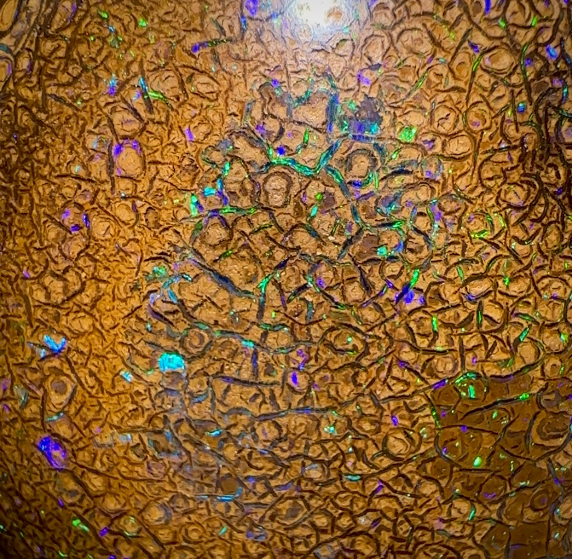 119.5cts - Yowah Nut Intricate Tribal Australian Opal. - Opal Whisperers