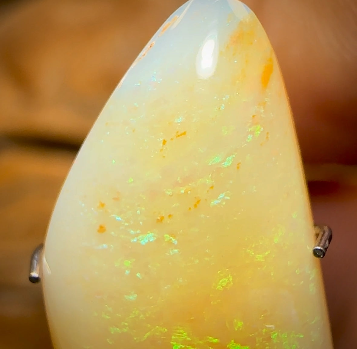6.5cts - Very Old Rare Yowah Nut Pure Golden Yellow Crystal Opal