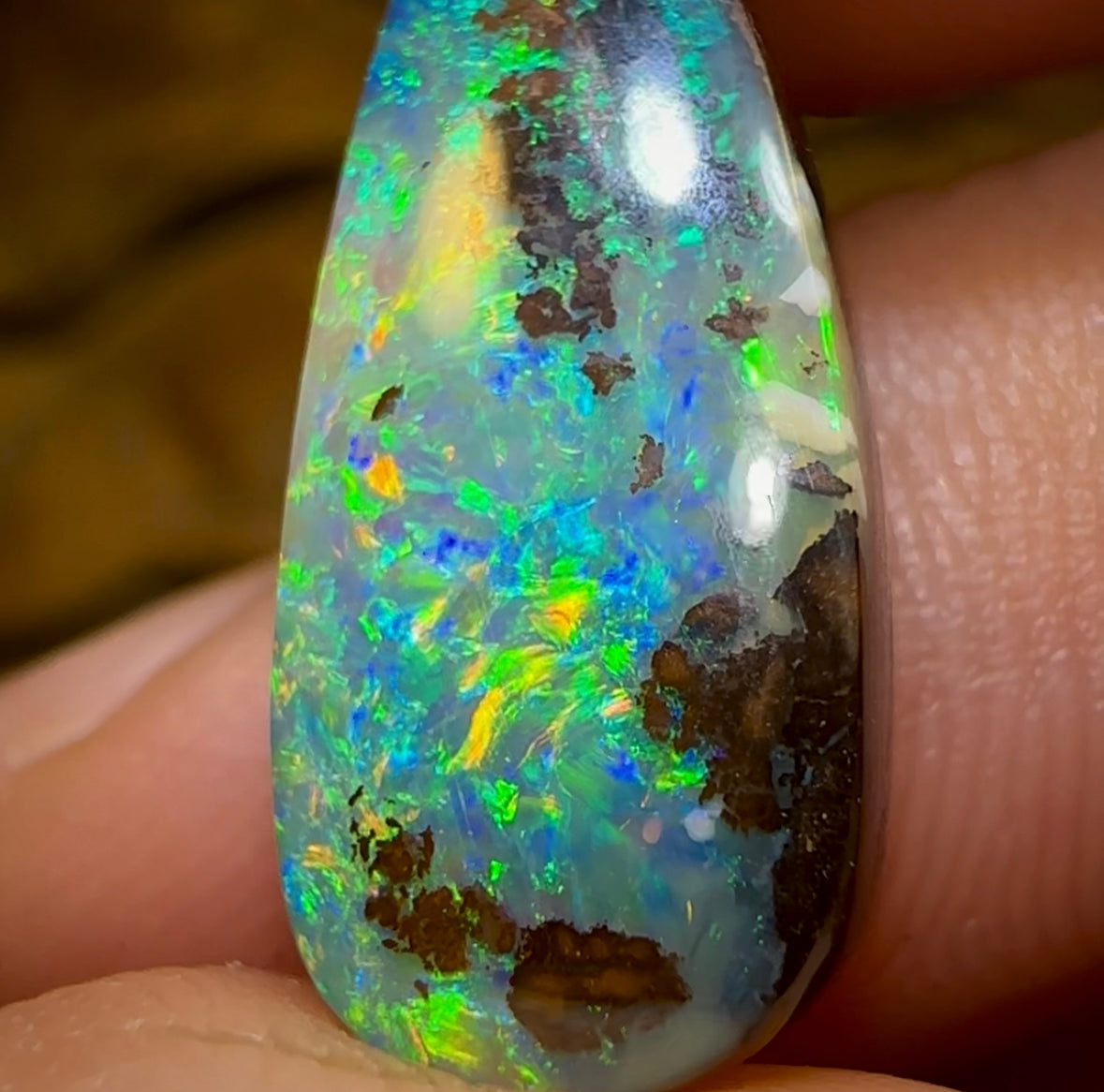 10.4cts - Yowah Opal Fossil Wood Replacement. Australian Boulder Opal - Opal Whisperers