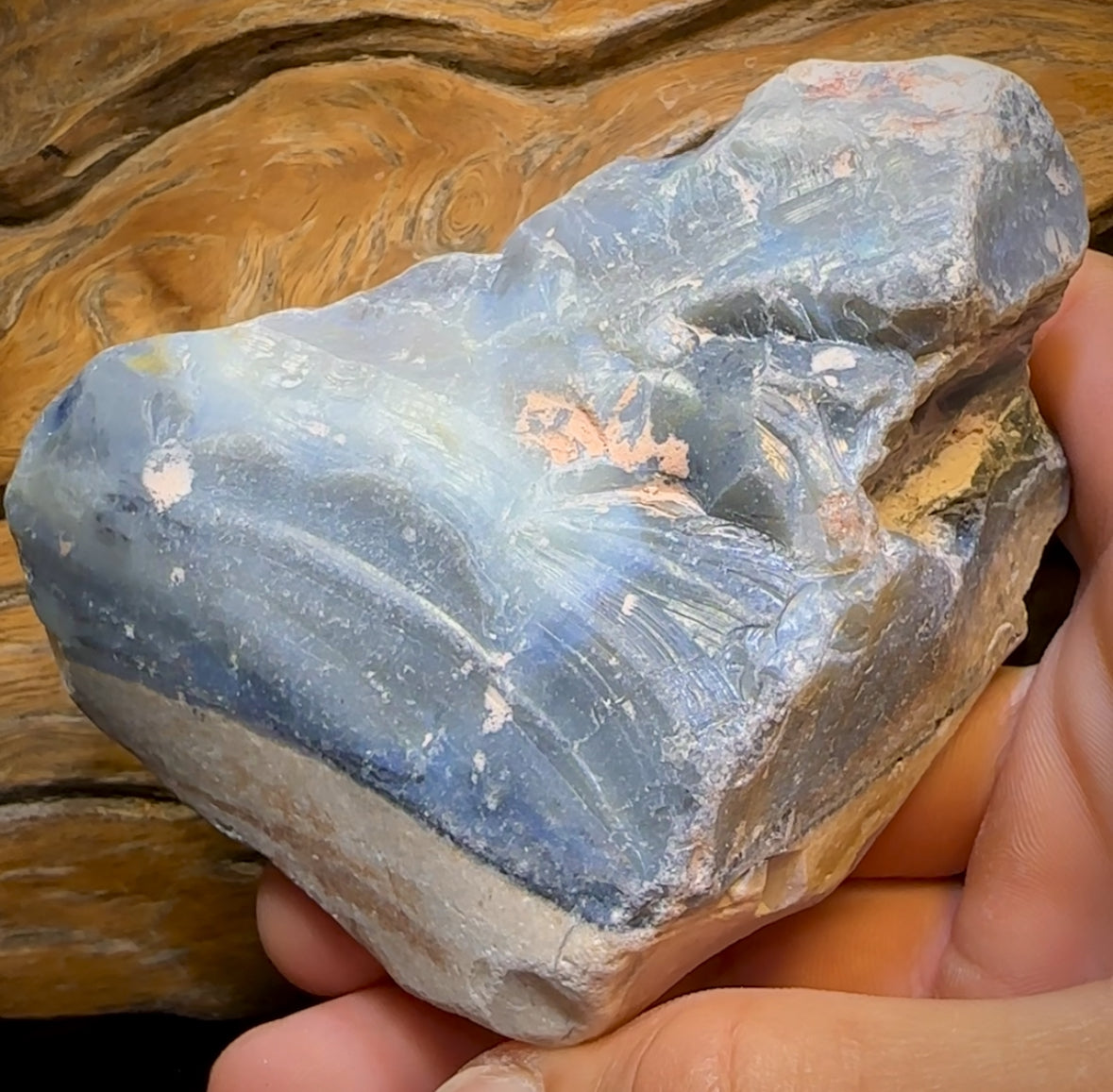 1544cts - HUGE Lightning Ridge Black Potch Opal Rough Piece Less than $0.20c/ Ct