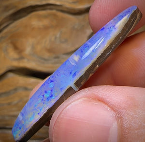 38.4cts - Large Solid GEM Queensland Boulder Seam Opal. THICK SEAM
