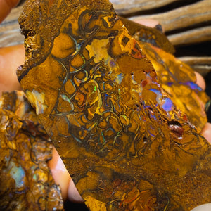 2348cts - 9x Koroit Nut Tribal Opal Rough Parcel. Australian Boulder Opal