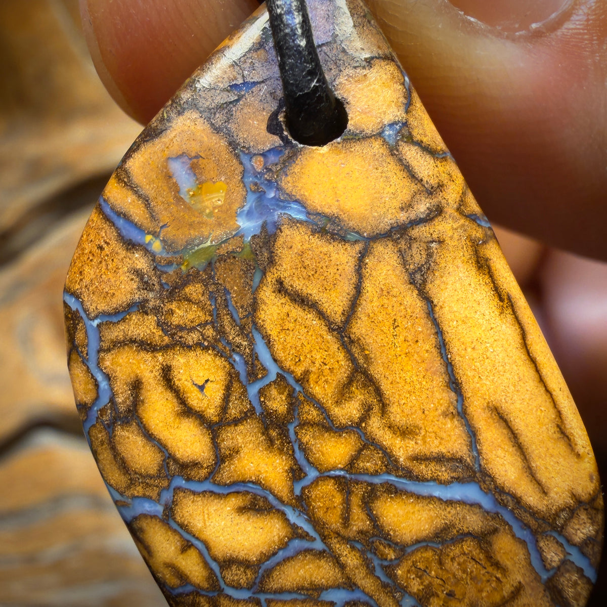 Wild Card! 42 x 22mm - Drilled Tribal Queensland Boulder Opal Necklace