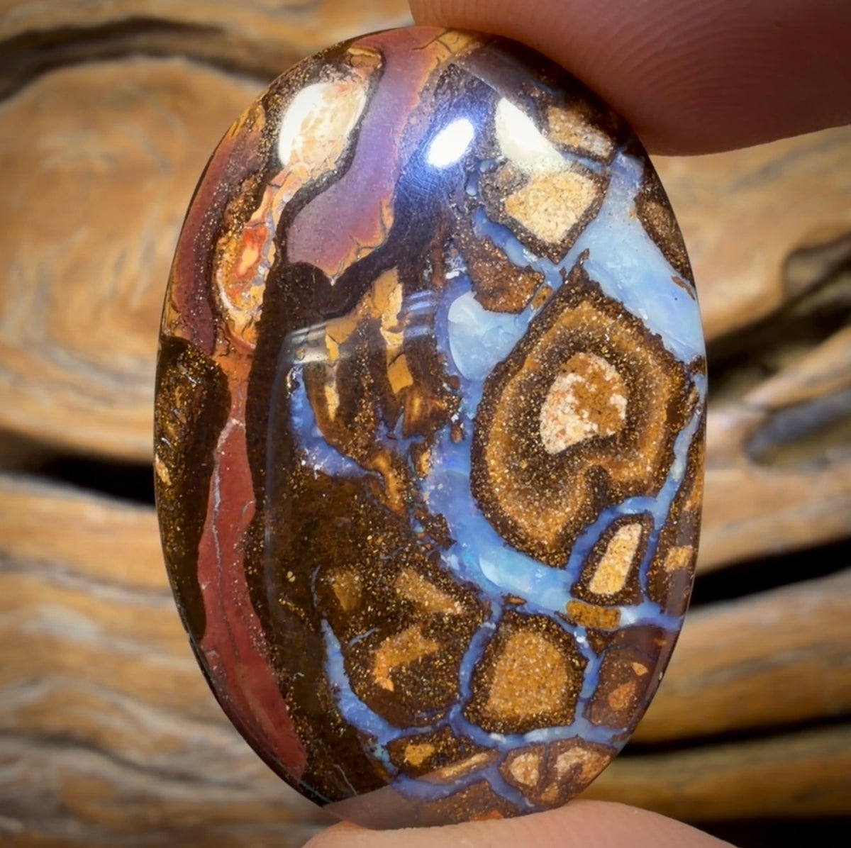 53.3cts - Queensland Boulder Opal from Yowah