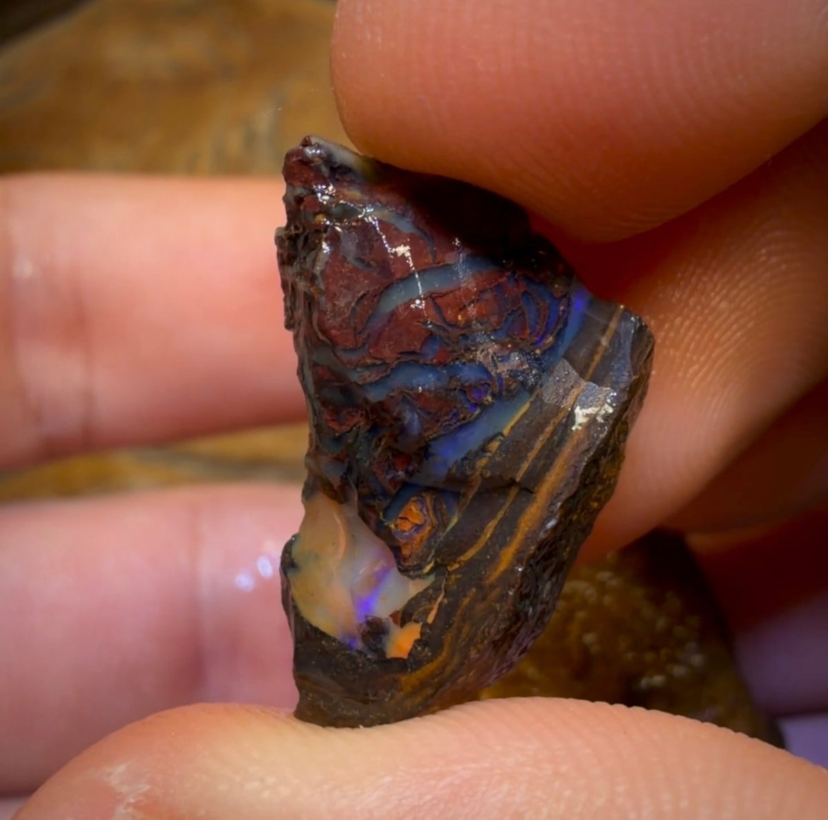 42,4 ct – 2 seltene, rohe Yowah-Nuss-Kristallopale im Zentrum