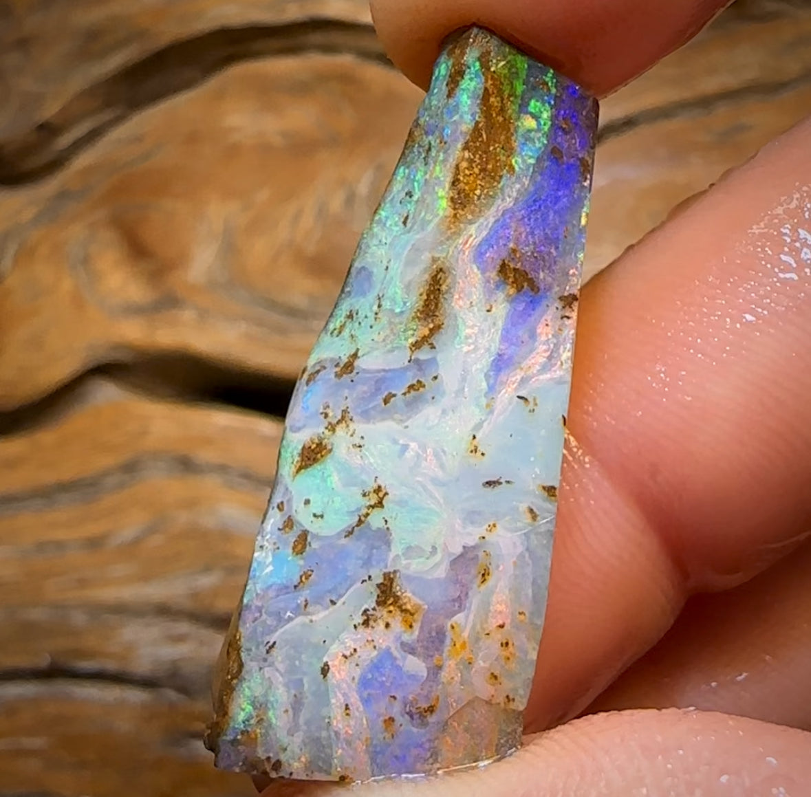 “Snow Reef” 33.6cts - Queensland Boulder Seam Opal Rub