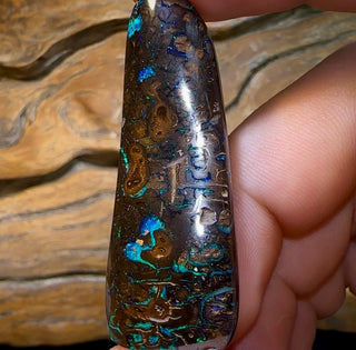 71,4 carats - Opale noix tribale Koroit