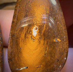 60.6cts - Tan Tribal Queensland Boulder Opal Pair